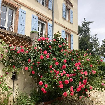 Domaine De Menerque - Petit Chateau Avec Piscine Lisle-sur-Tarn Εξωτερικό φωτογραφία