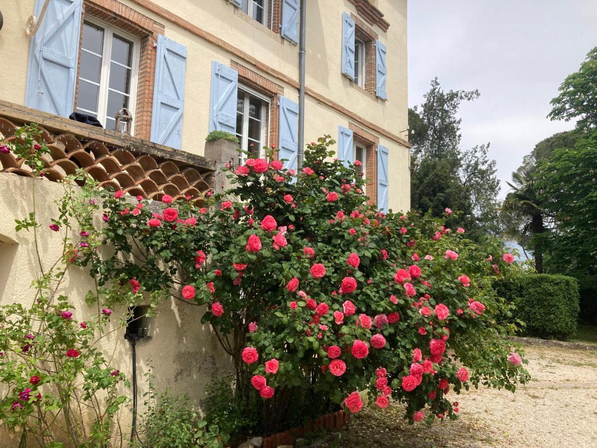 Domaine De Menerque - Petit Chateau Avec Piscine Lisle-sur-Tarn Εξωτερικό φωτογραφία