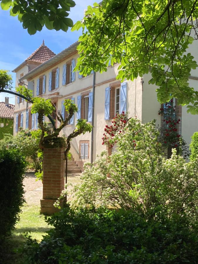 Domaine De Menerque - Petit Chateau Avec Piscine Lisle-sur-Tarn Εξωτερικό φωτογραφία