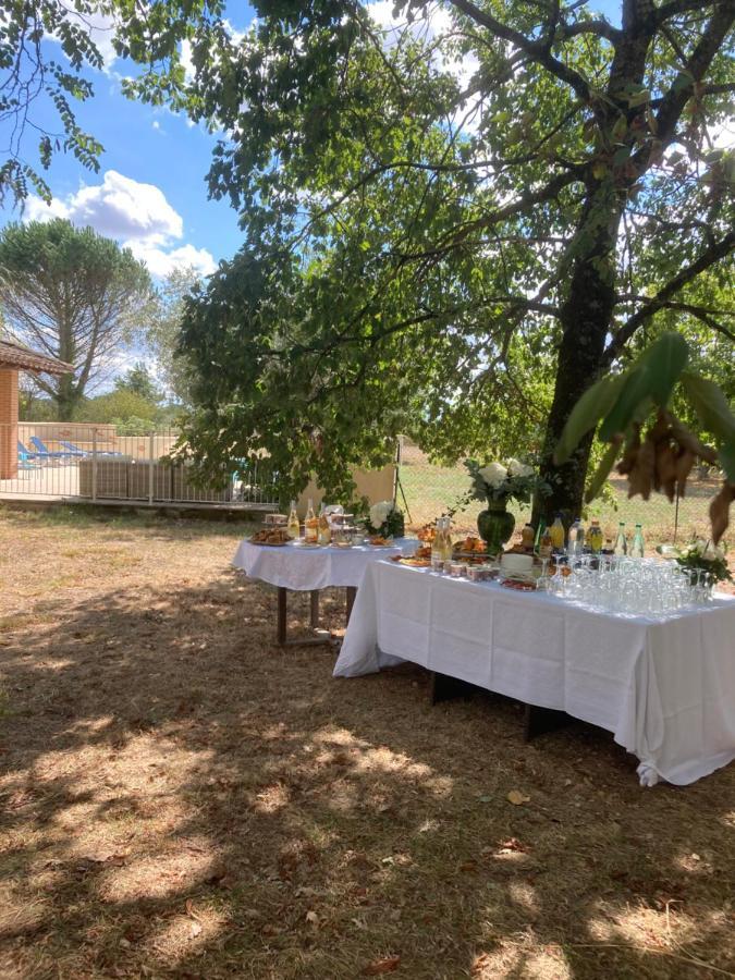 Domaine De Menerque - Petit Chateau Avec Piscine Lisle-sur-Tarn Εξωτερικό φωτογραφία