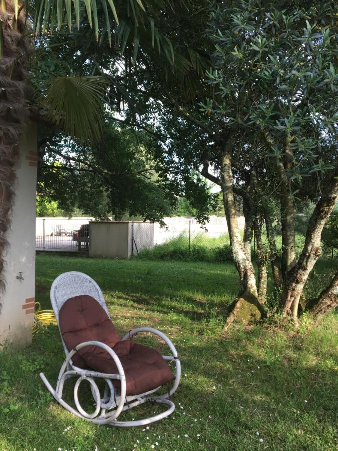 Domaine De Menerque - Petit Chateau Avec Piscine Lisle-sur-Tarn Εξωτερικό φωτογραφία