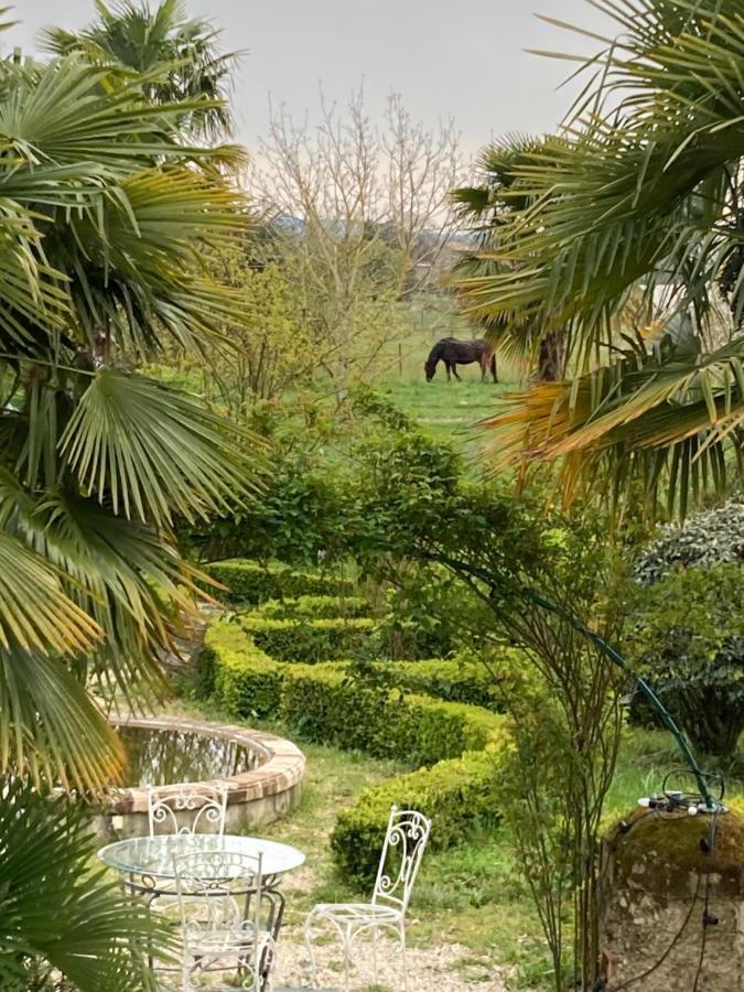 Domaine De Menerque - Petit Chateau Avec Piscine Lisle-sur-Tarn Εξωτερικό φωτογραφία