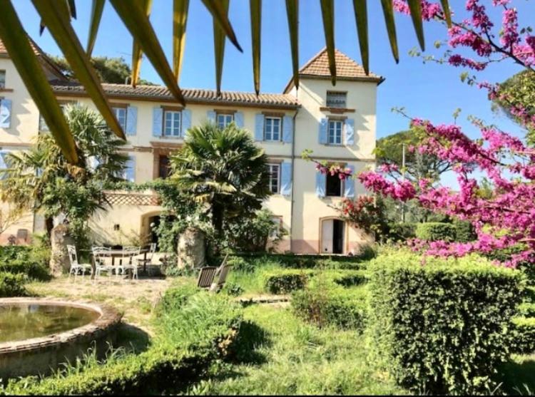 Domaine De Menerque - Petit Chateau Avec Piscine Lisle-sur-Tarn Εξωτερικό φωτογραφία