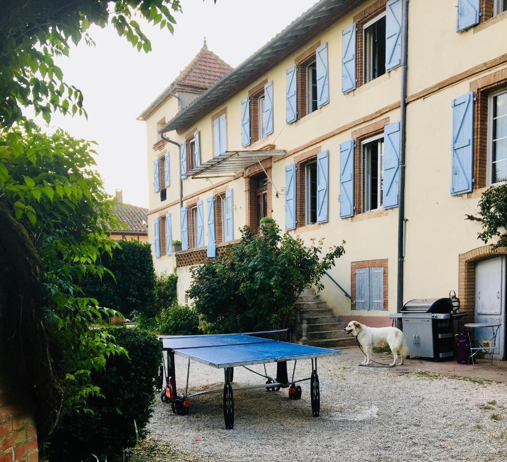 Domaine De Menerque - Petit Chateau Avec Piscine Lisle-sur-Tarn Εξωτερικό φωτογραφία