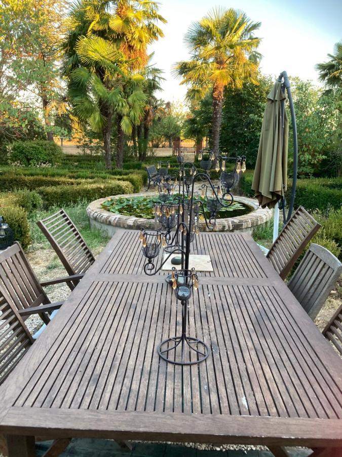 Domaine De Menerque - Petit Chateau Avec Piscine Lisle-sur-Tarn Εξωτερικό φωτογραφία