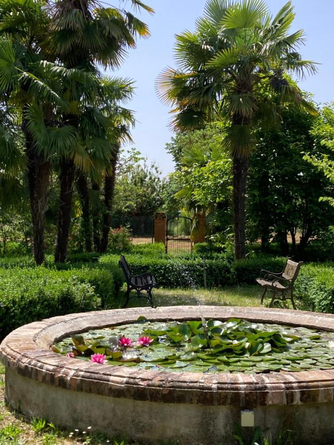 Domaine De Menerque - Petit Chateau Avec Piscine Lisle-sur-Tarn Εξωτερικό φωτογραφία