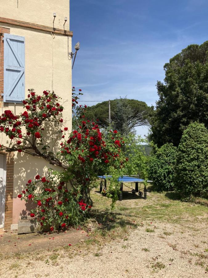 Domaine De Menerque - Petit Chateau Avec Piscine Lisle-sur-Tarn Εξωτερικό φωτογραφία